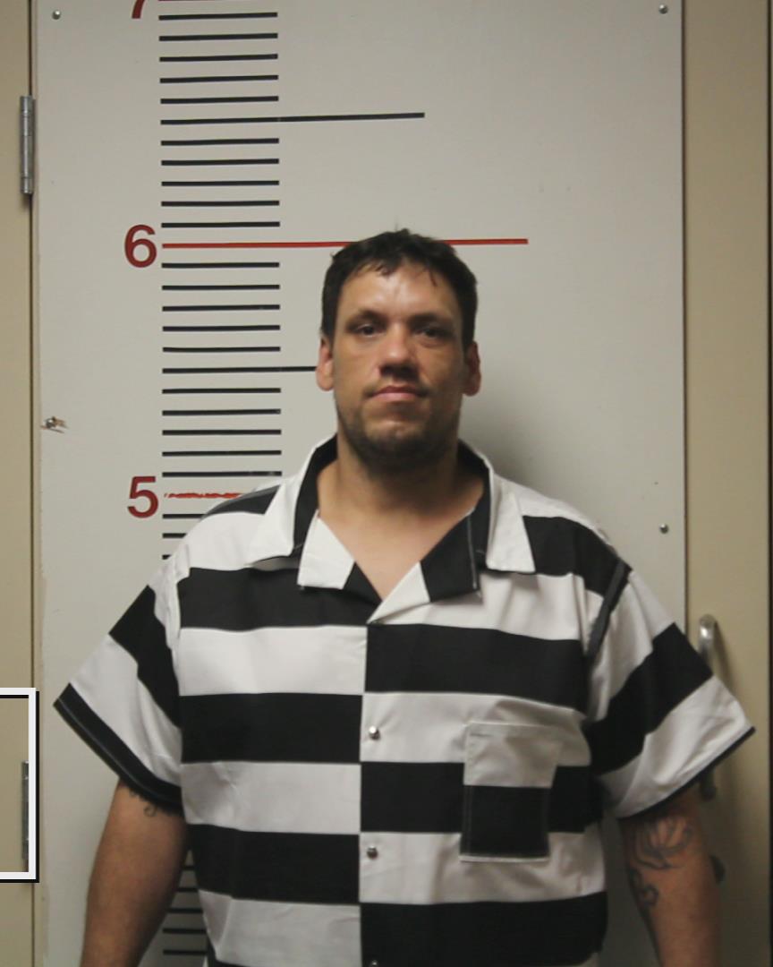 MEAD, CHRISTOPHER DEWAYNE arrested by Palestine Police Dept.