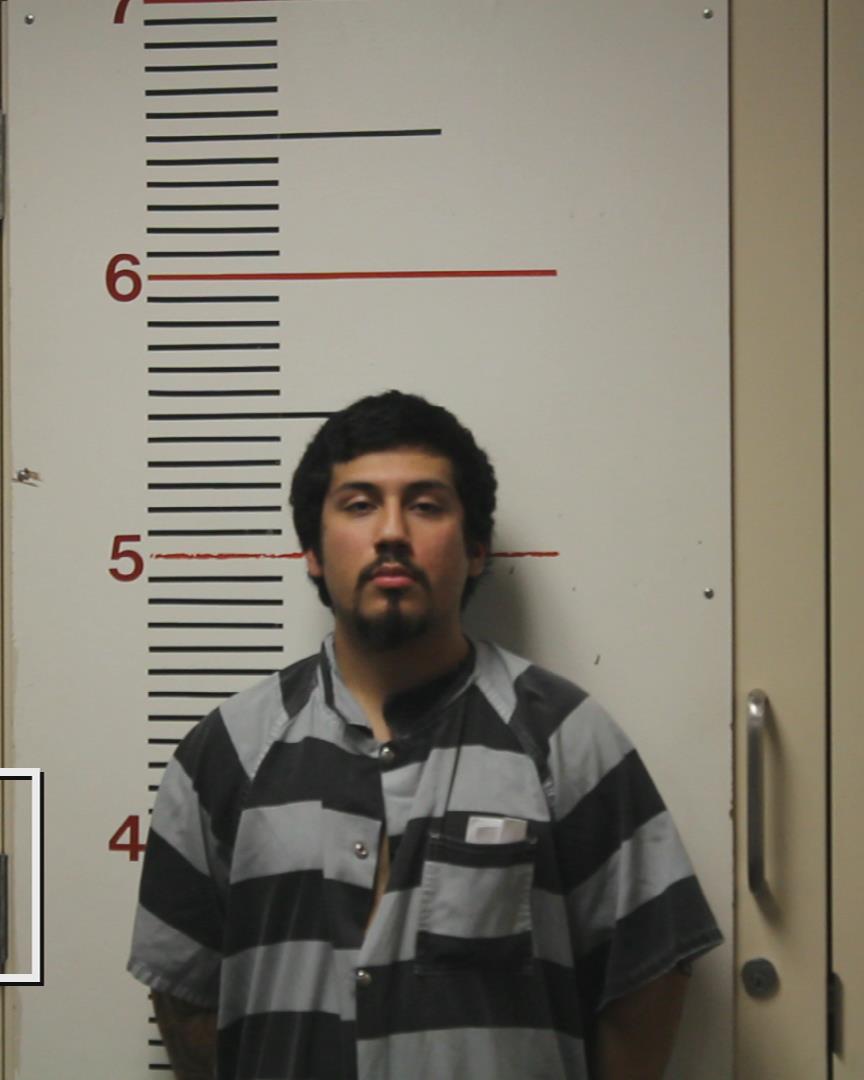 LEYVA, RAMON arrested by Palestine Police Dept.