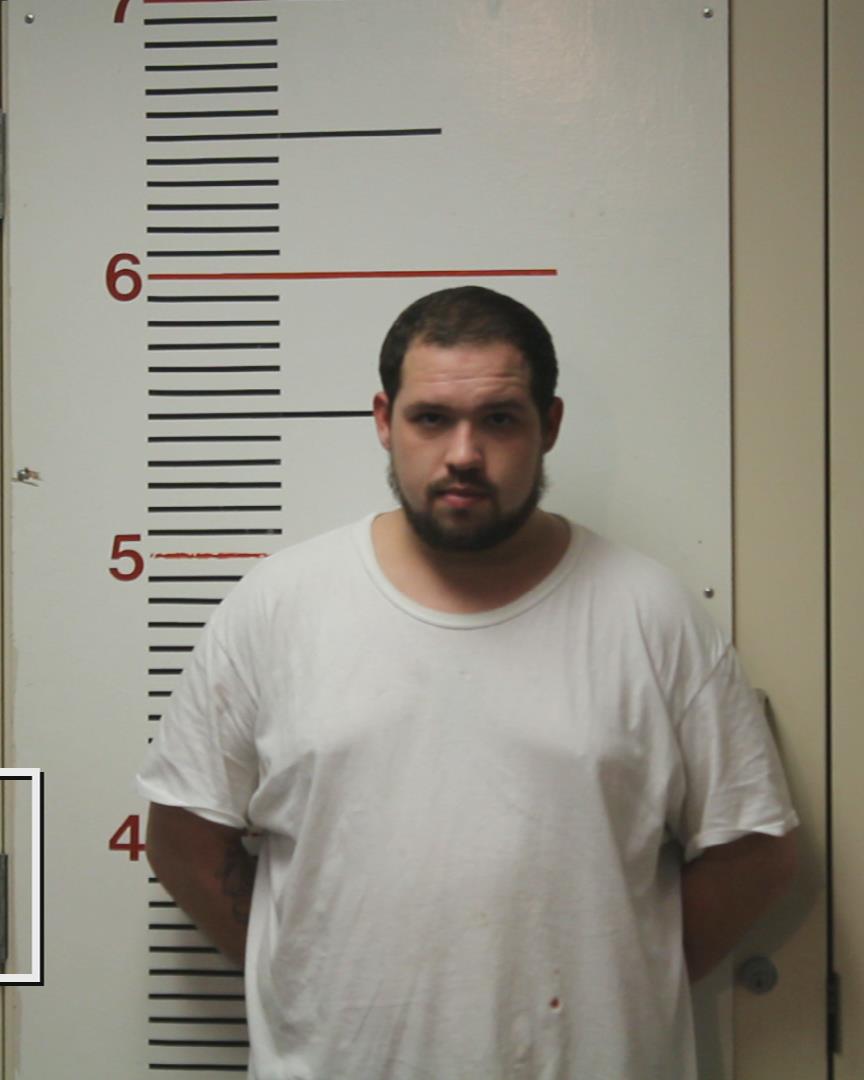 YELVERTON, JAMES CODY arrested by Palestine Police Dept.