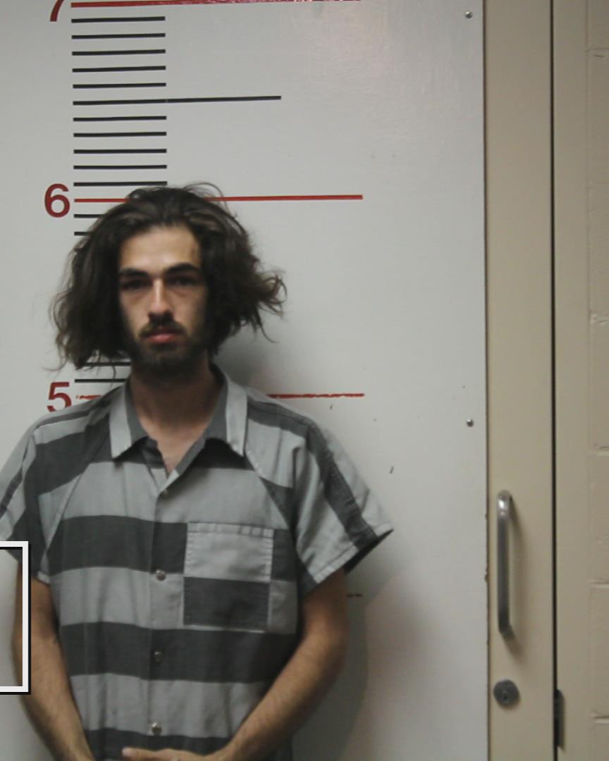 JOHNSTON, NATHAN CHARLES arrested by Palestine Police Dept.