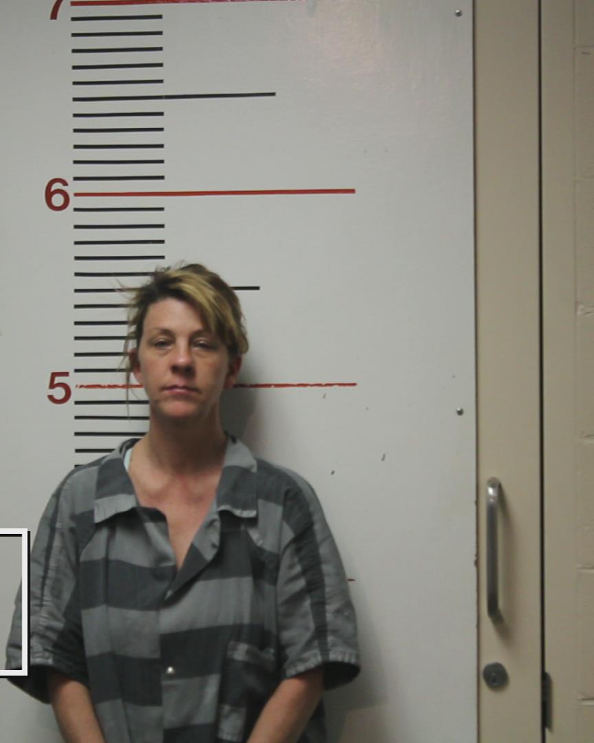 PARK, LAURA arrested by Anderson County Sheriff’s Office