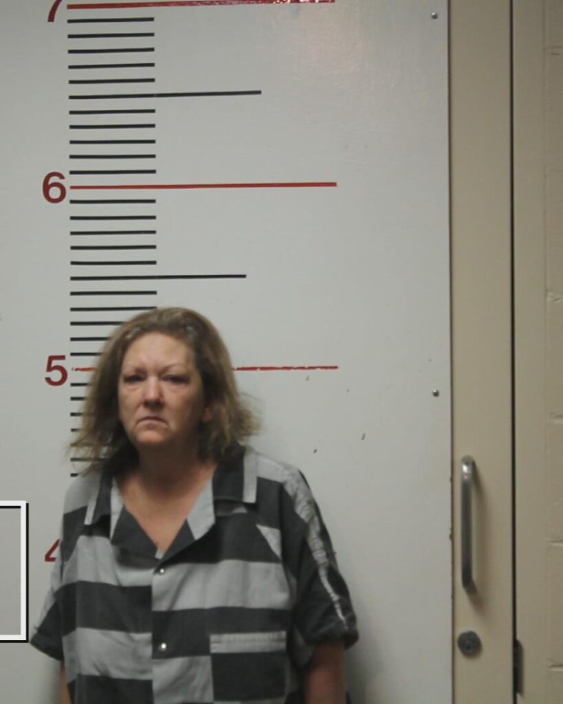 FINCHER, LORI ANN booking photo