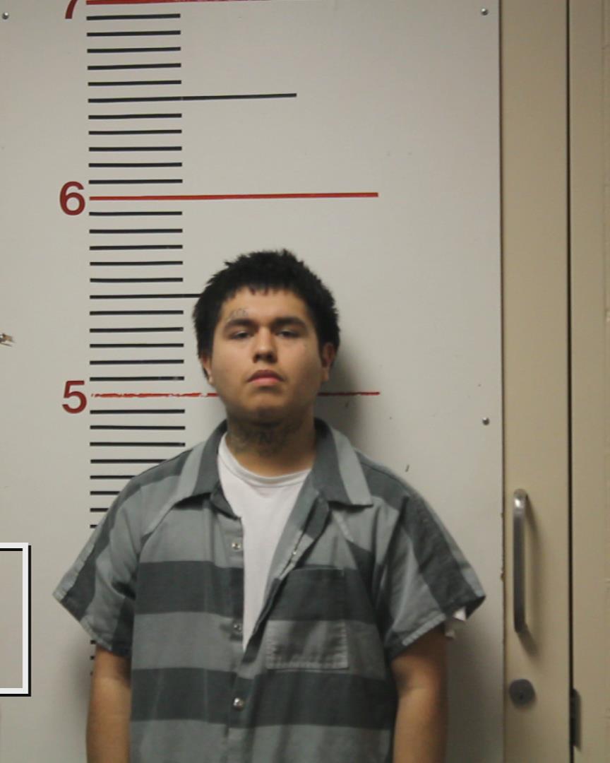 LEANDRO, RICARDO arrested by Palestine Police Dept.