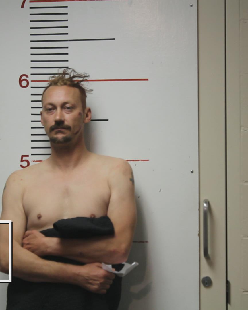 MCDONALD, JASON MATHEW arrested by Palestine Police Dept.