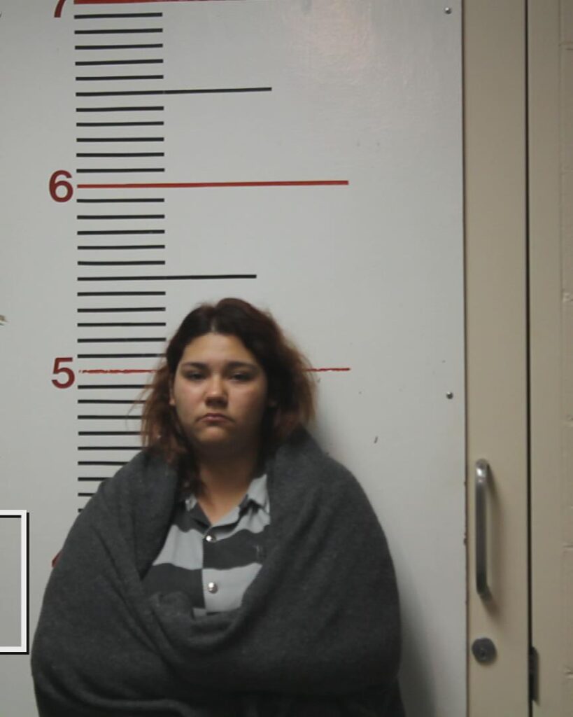SANDOVAL, ELIZABETH VICTORIA booking photo