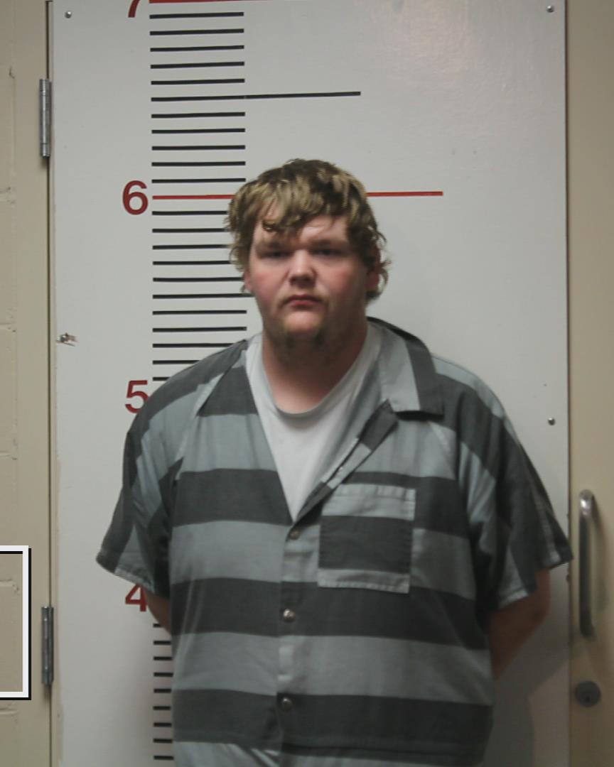 BRISTOW, DYLAN DALE arrested by Anderson County Sheriff’s Office