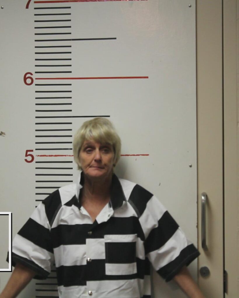 DALTON, WENDY RENEE booking photo