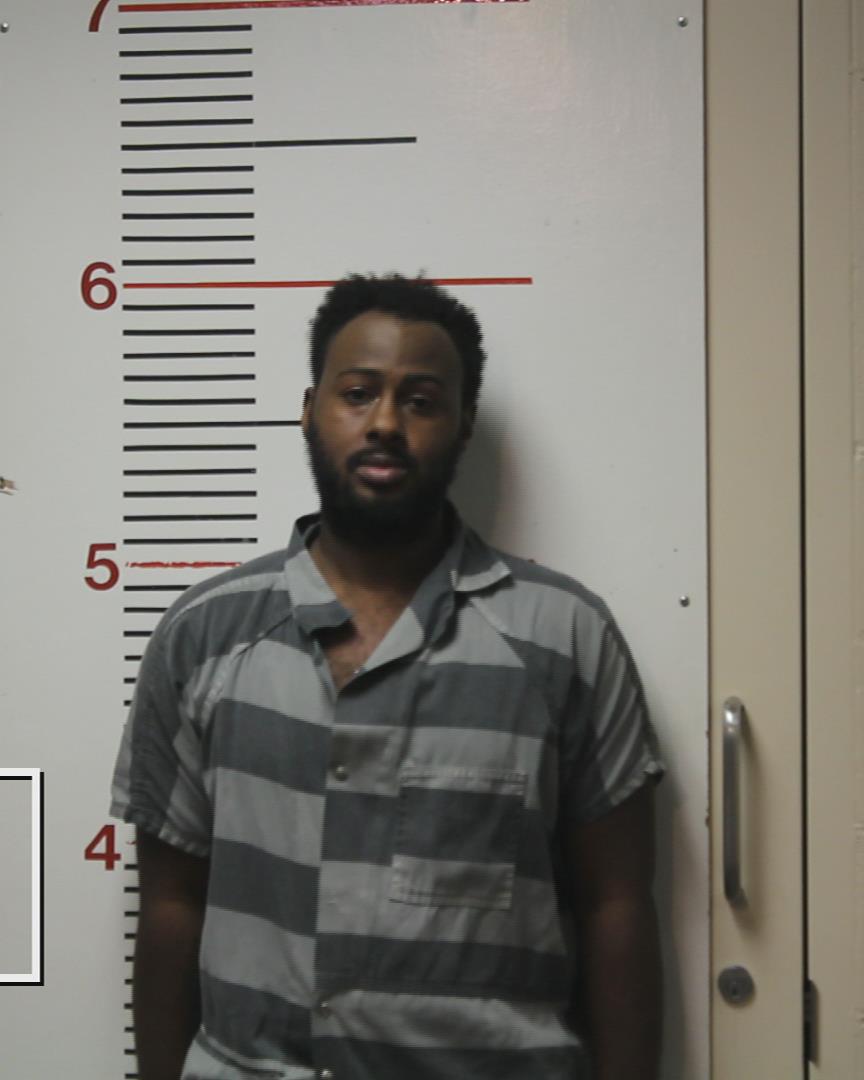 SCOTT, JOSHUA JADEN GORE arrested by Anderson County Sheriff’s Office