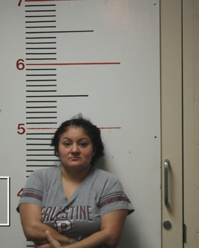 NAGO, LILLY ANN booking photo