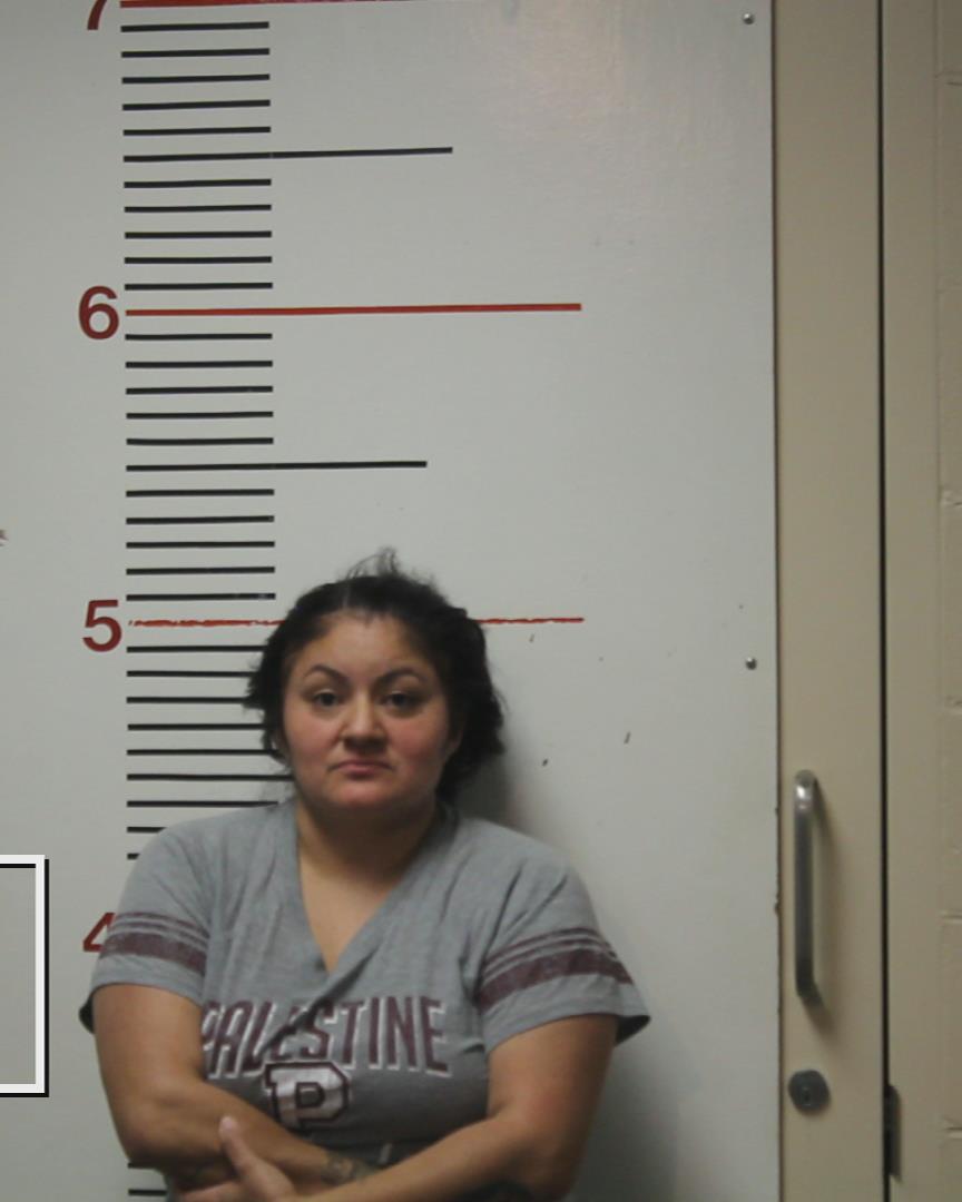 NAGO, LILLY ANN arrested by Palestine Police Dept.