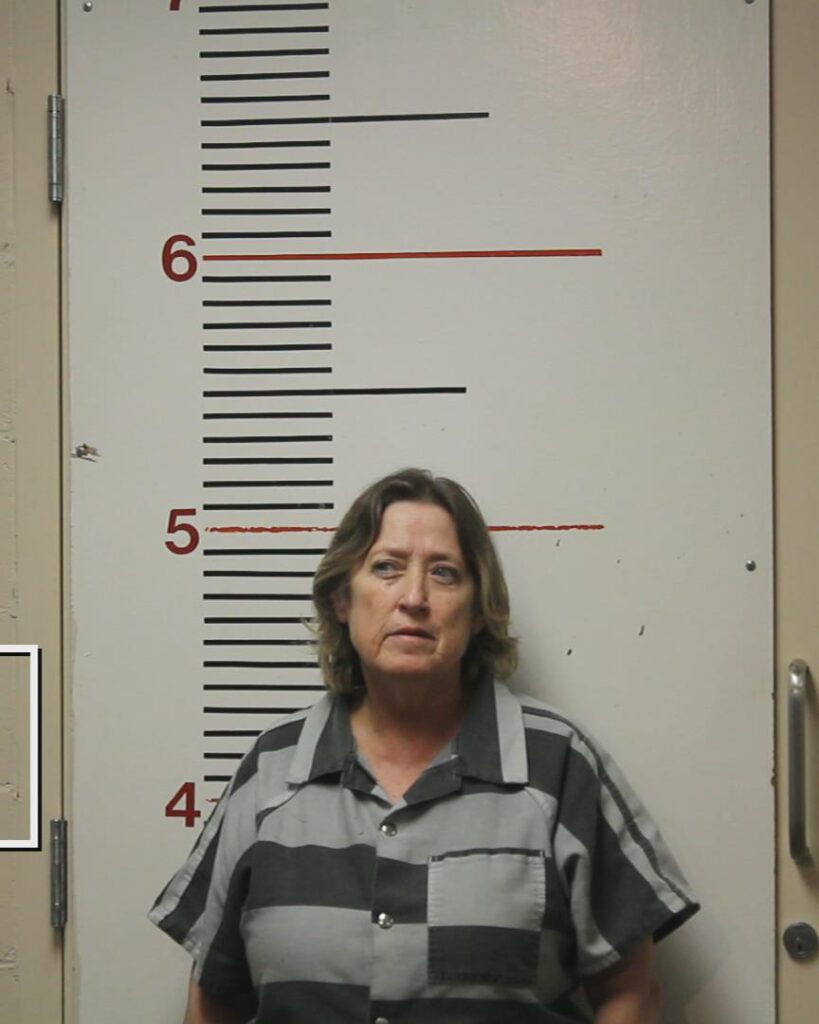 DAVIDSON, CYNTHIA SUE booking photo