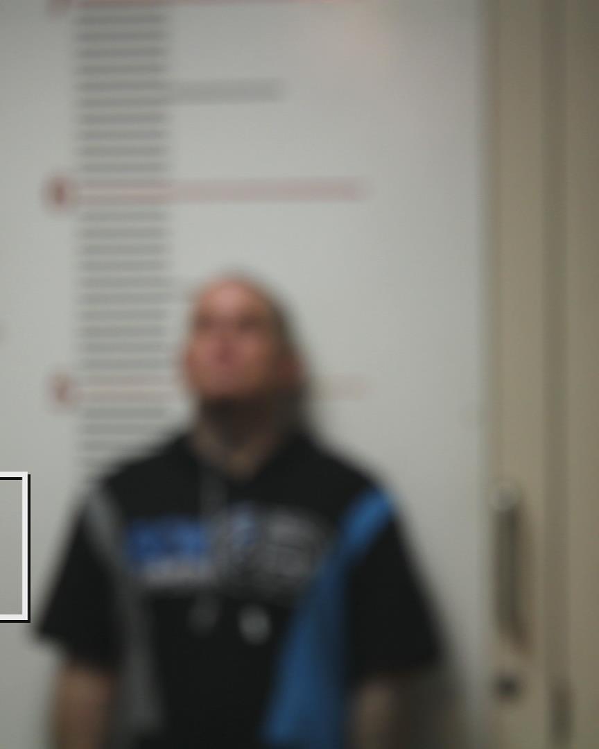 RICHARDSON, BRYAN RAY arrested by Palestine Police Dept.