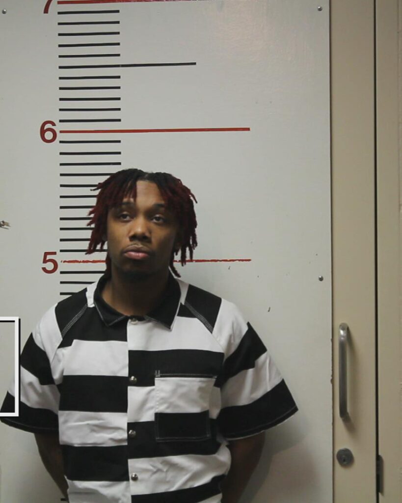 HUTCHISON, LURENZA WAYNE booking photo