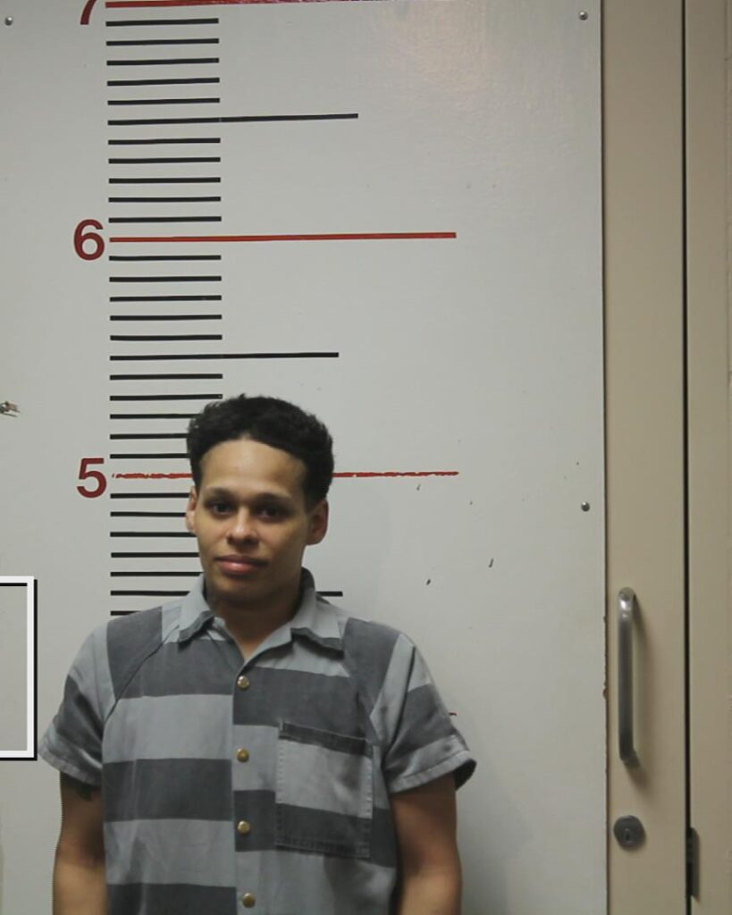 HODGE, JENNY VICTORIA booking photo