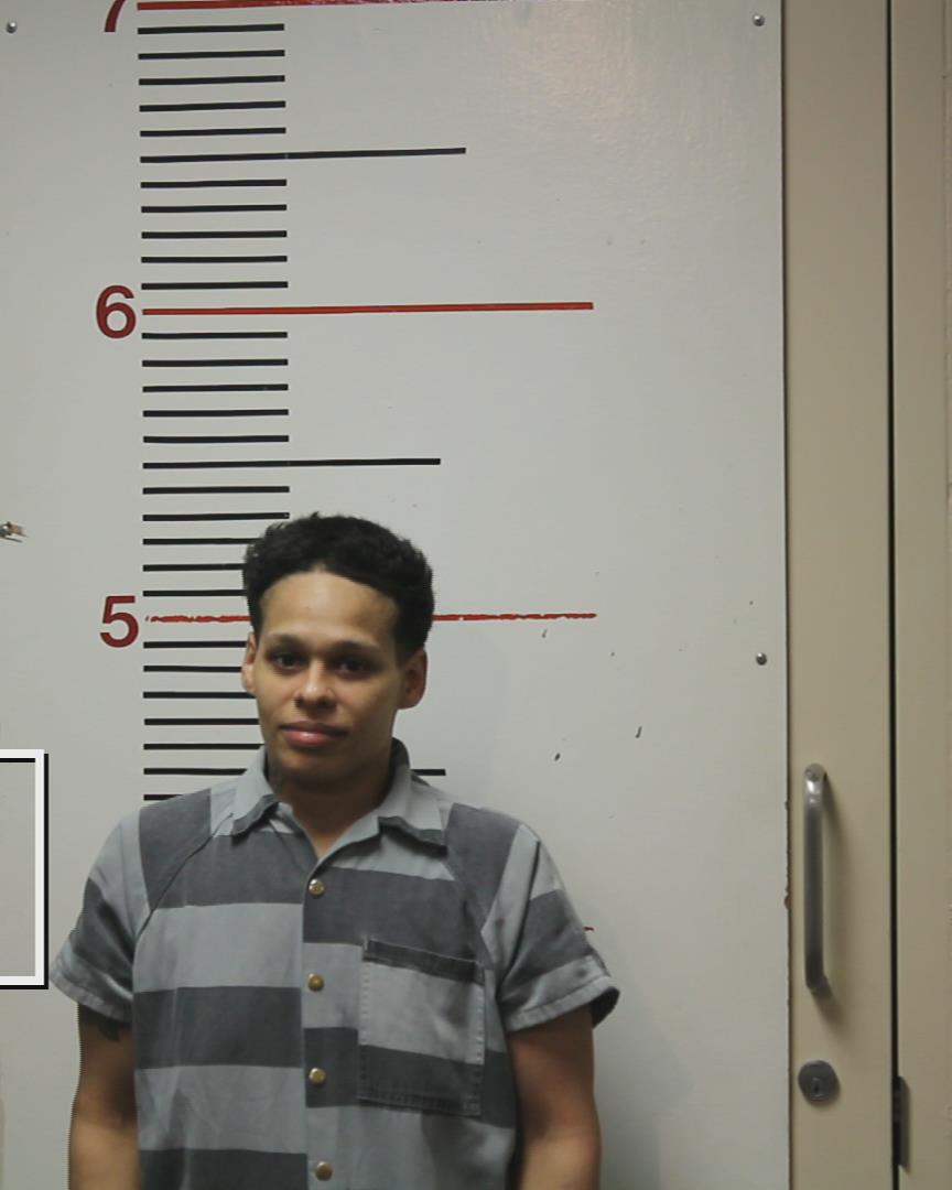 HODGE, JENNY VICTORIA arrested by Anderson County Sheriff’s Office