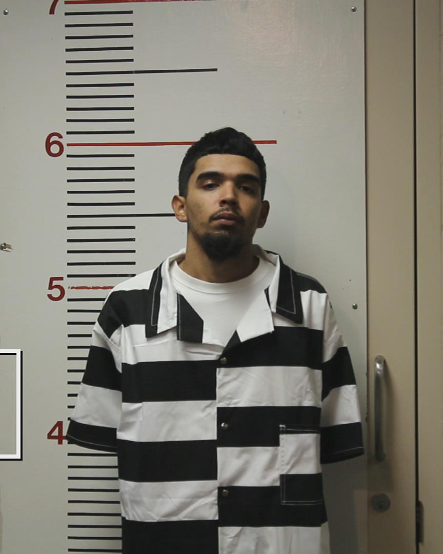 ROCHA, EDUARDO arrested by Palestine Police Dept.