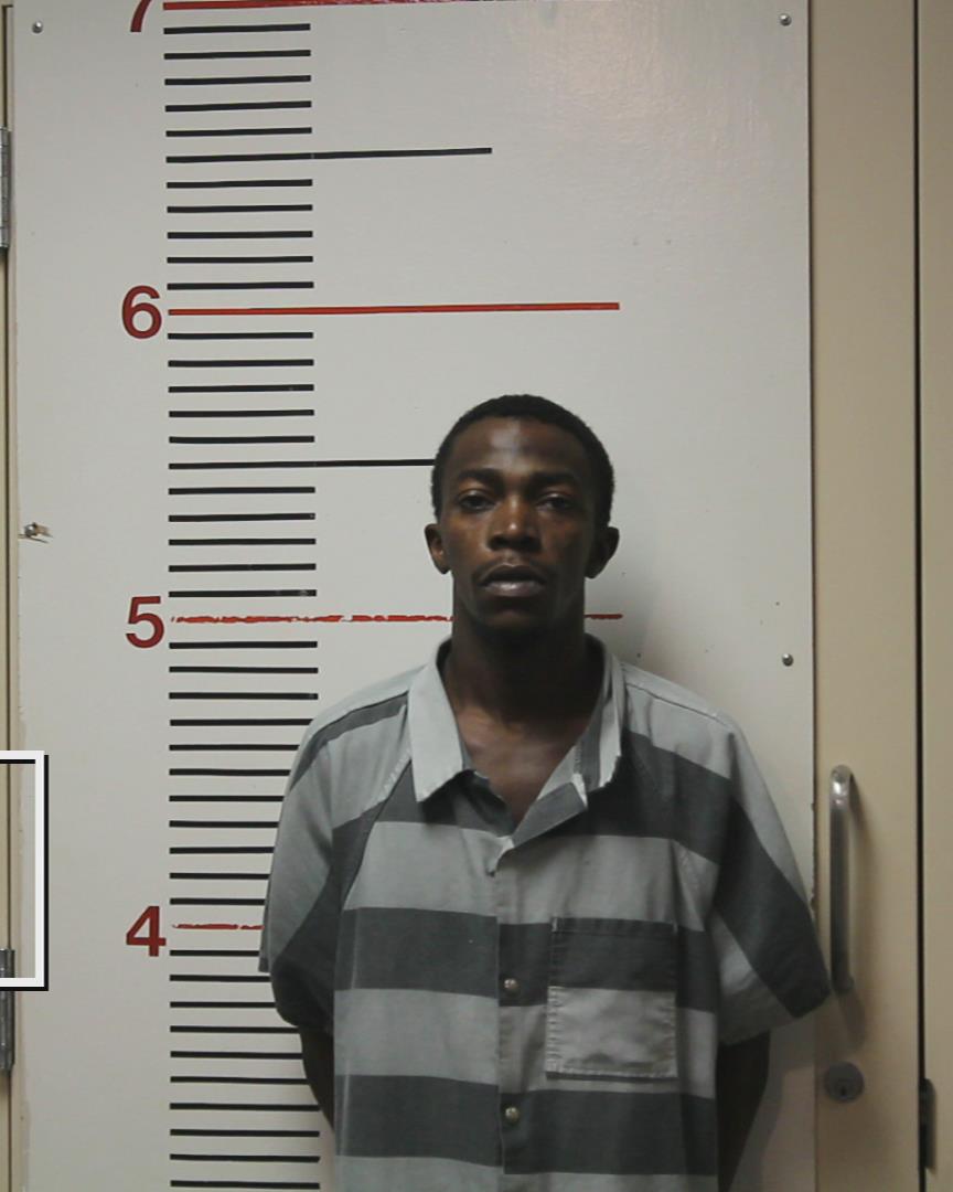 WOODS, VICTOR DETRON JR arrested by Palestine Police Dept.