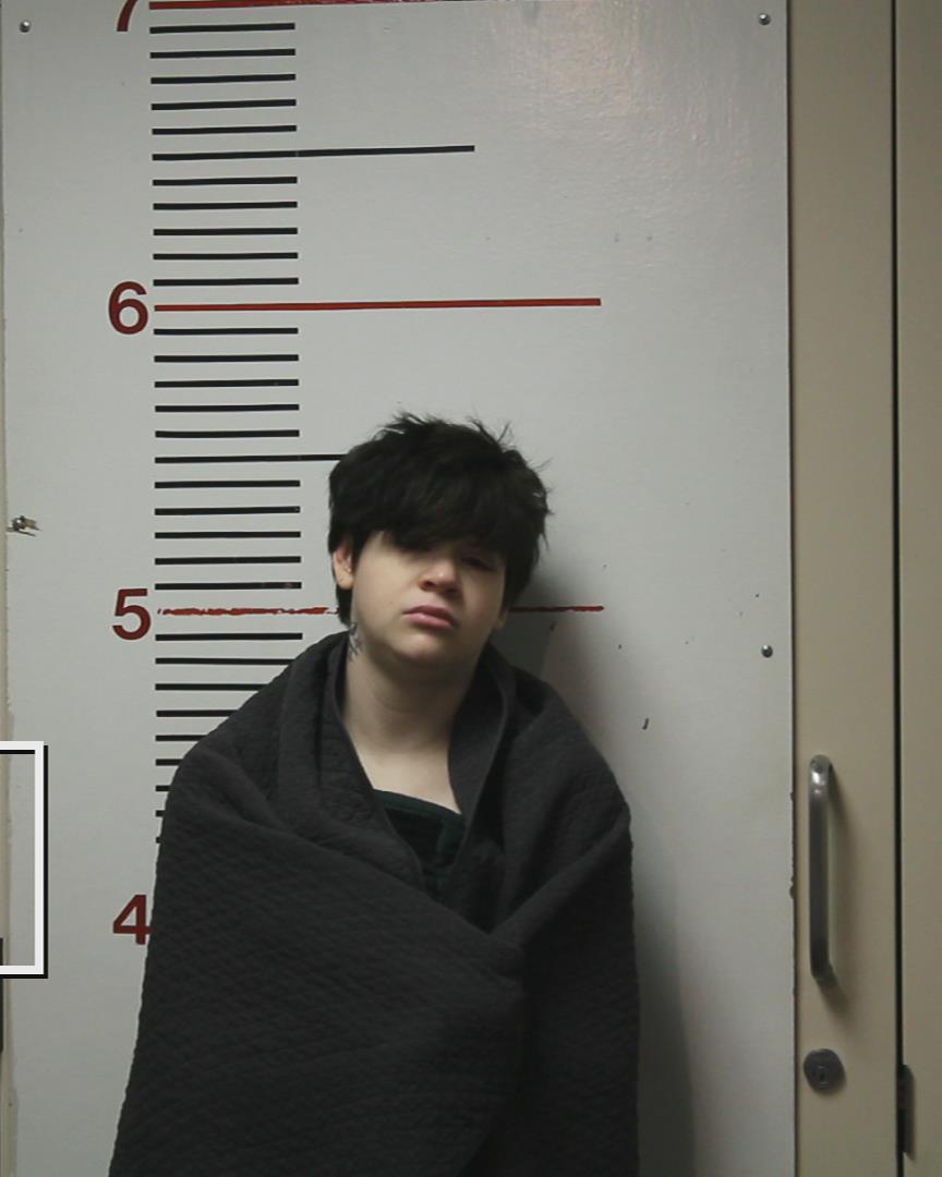 WHITTMORE, HANNAH LOUISE arrested by Palestine Police Dept.