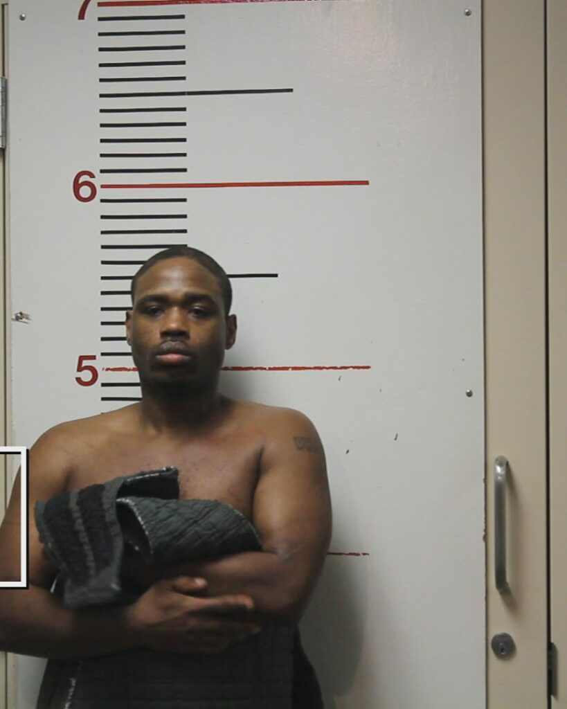 BROWN, RAYMOND booking photo