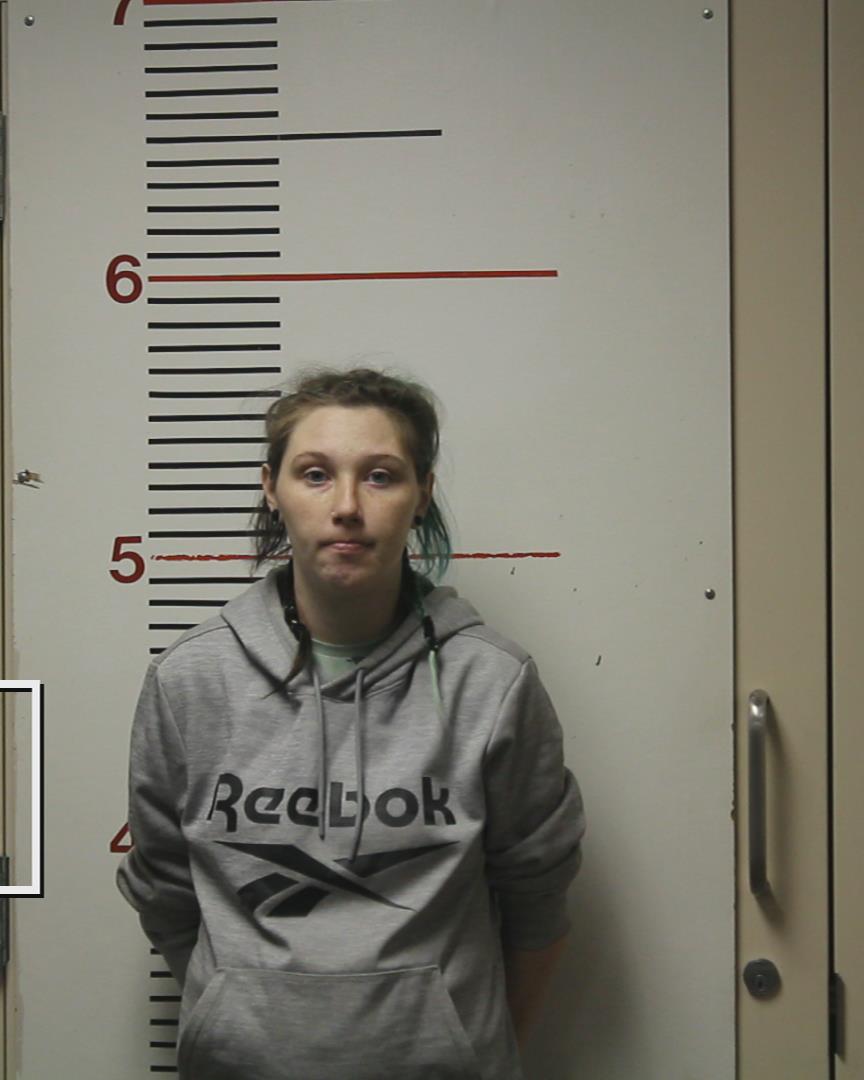 CRUICKSHANK, BRITTANY arrested by Anderson County Sheriff’s Office