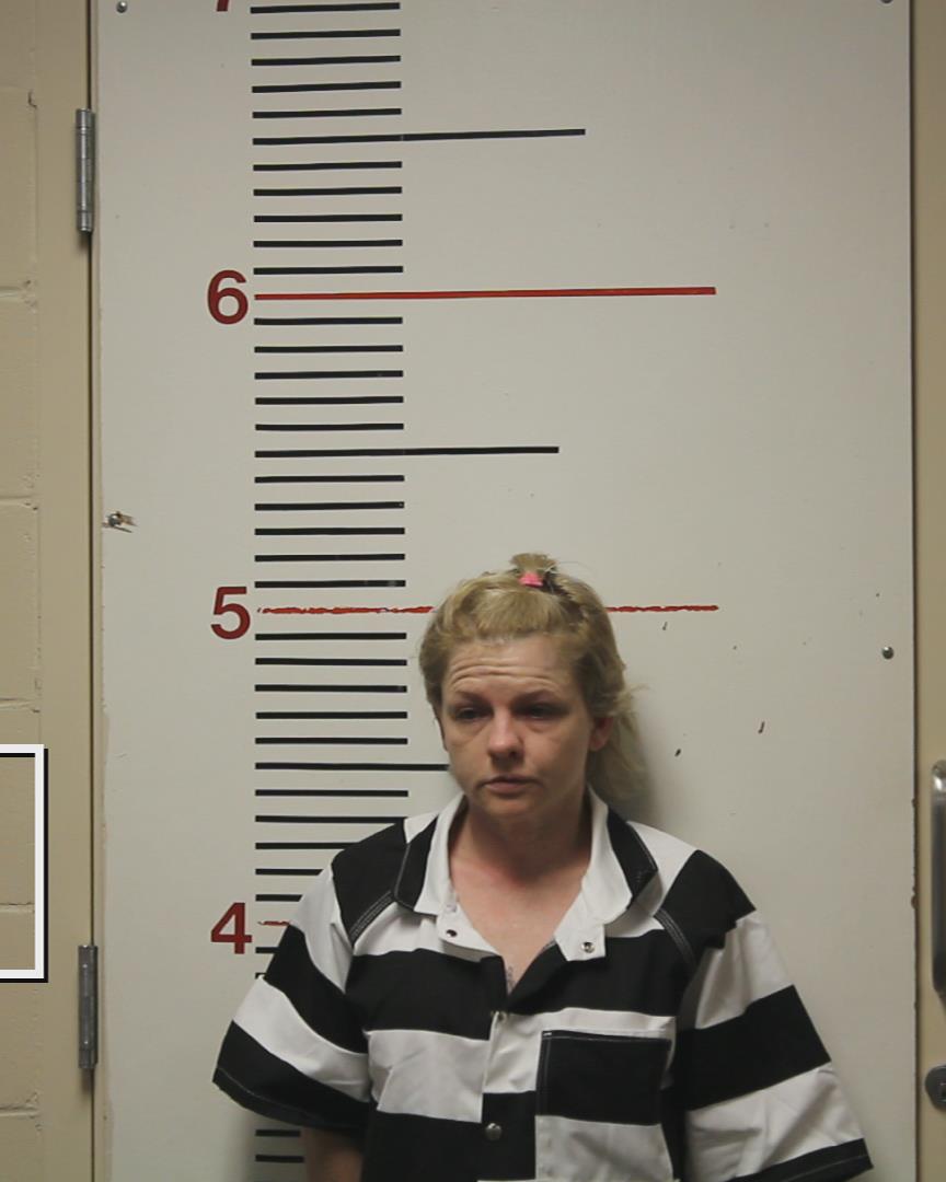 GOLDMAN, KATHRYN ANNETTE arrested by Anderson County Sheriff’s Office