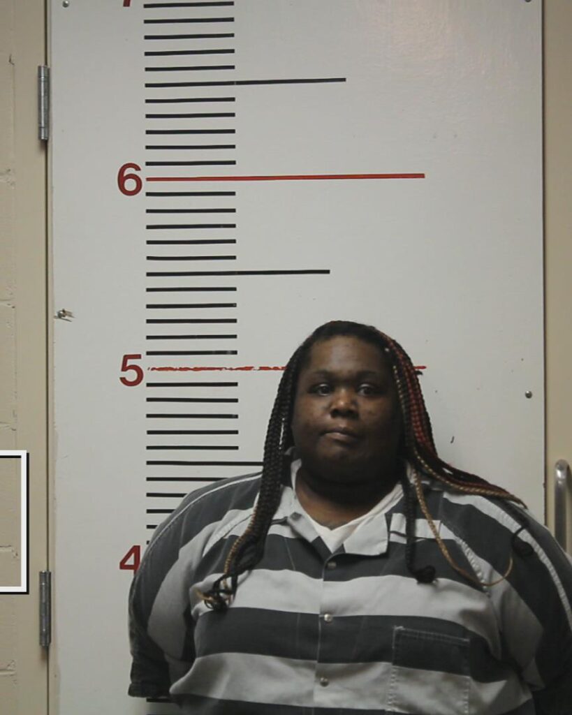 JOHNSON, MEGHIN DANIELLE booking photo