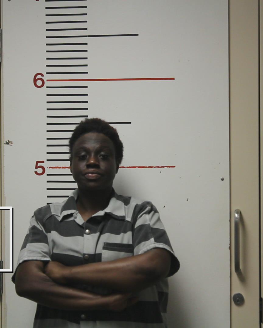 DONNELL, KATRINA DENISE arrested by Palestine Police Dept.