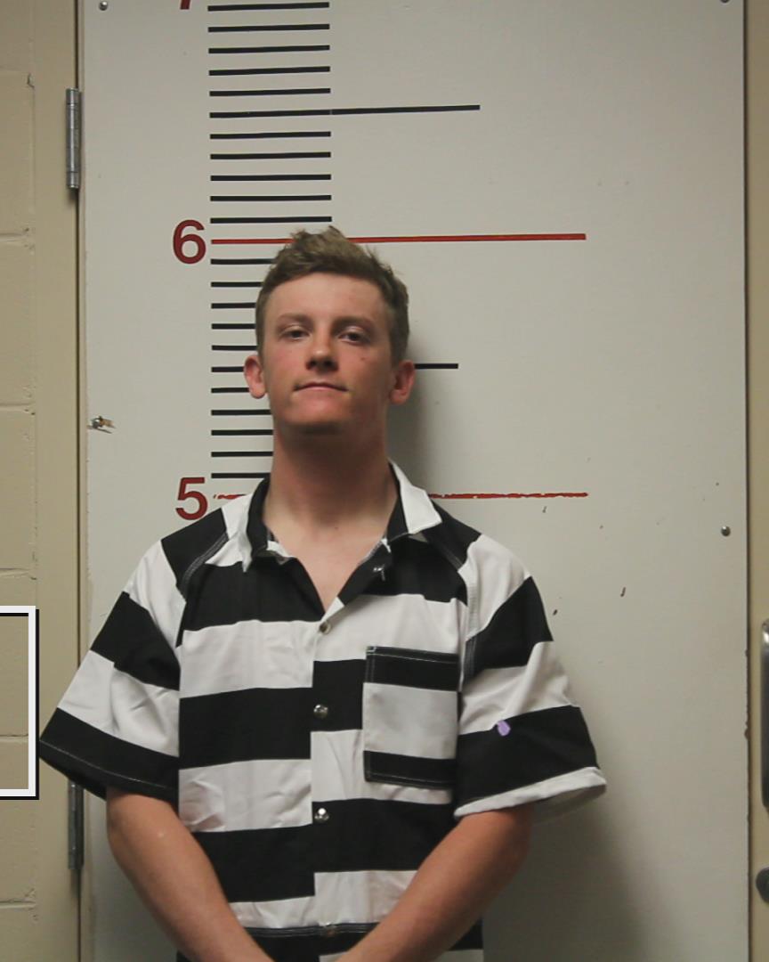 SCHAMBURG, DALTON JAY arrested by Department of Public Safety