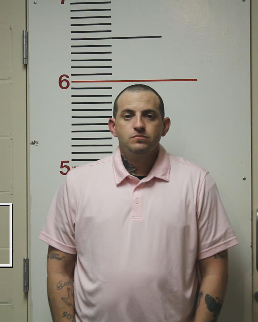 LEE, TIMOTHY CRAIG arrested by Palestine Police Dept.