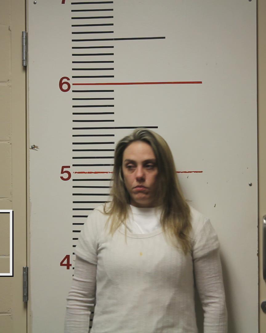 LYONS, ASHLEY NICHOLE arrested by Anderson County Sheriff’s Office