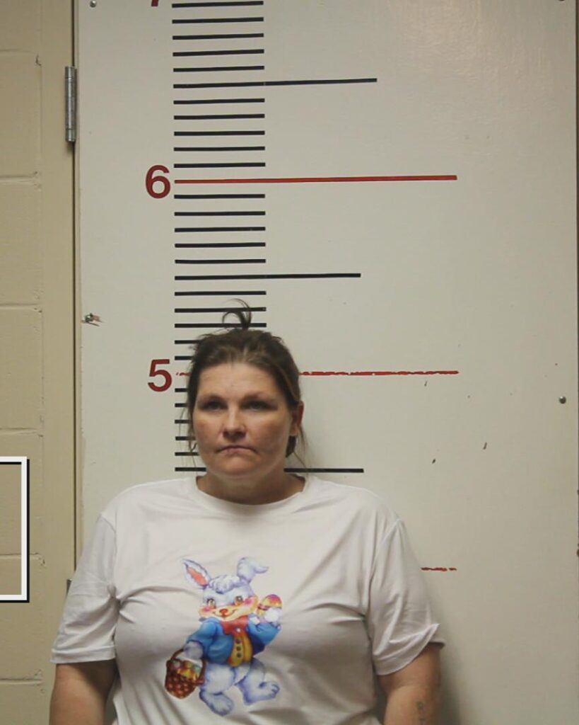 JAMES, BRANDI DAWN booking photo