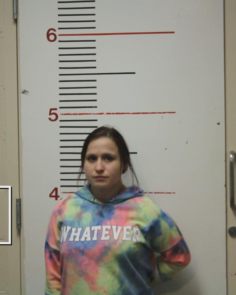 PICHARDO, ARIAN PAIGE booking photo