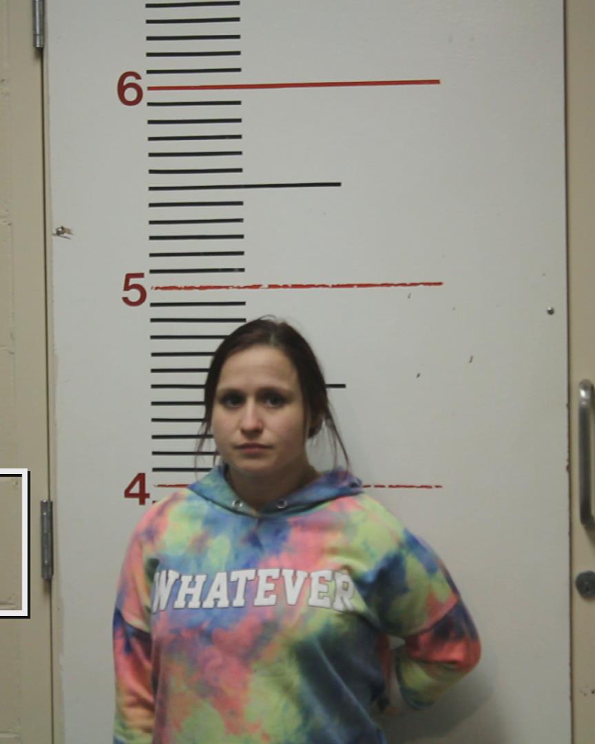 PICHARDO, ARIAN PAIGE arrested by Palestine Police Dept.