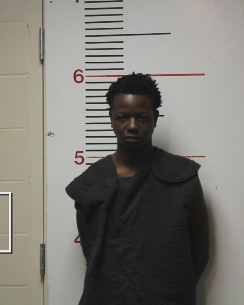 DONNELL, MICHAEL DESHONE, Jr. booking photo