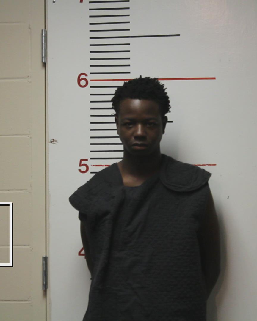 DONNELL, MICHAEL DESHONE, Jr. arrested by Palestine Police Dept.