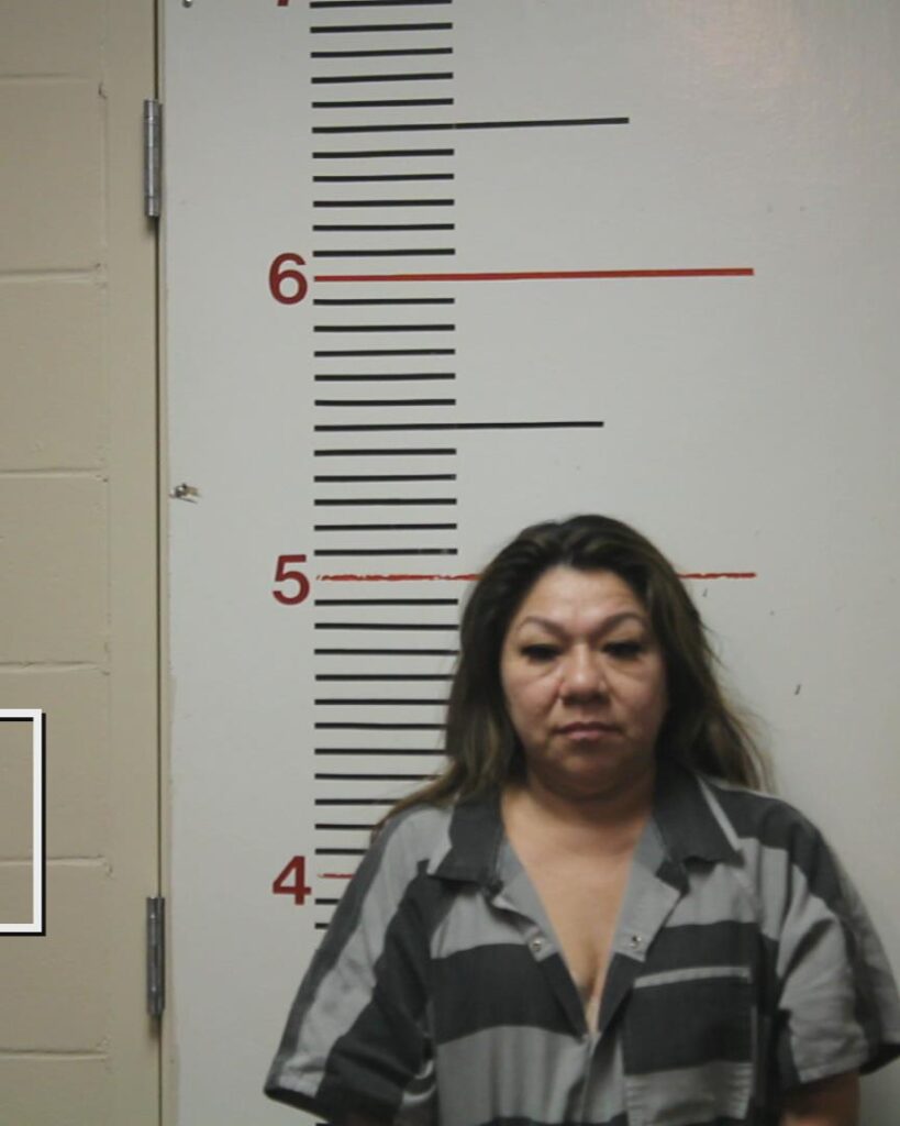 SILVESTRE, LILIANA booking photo