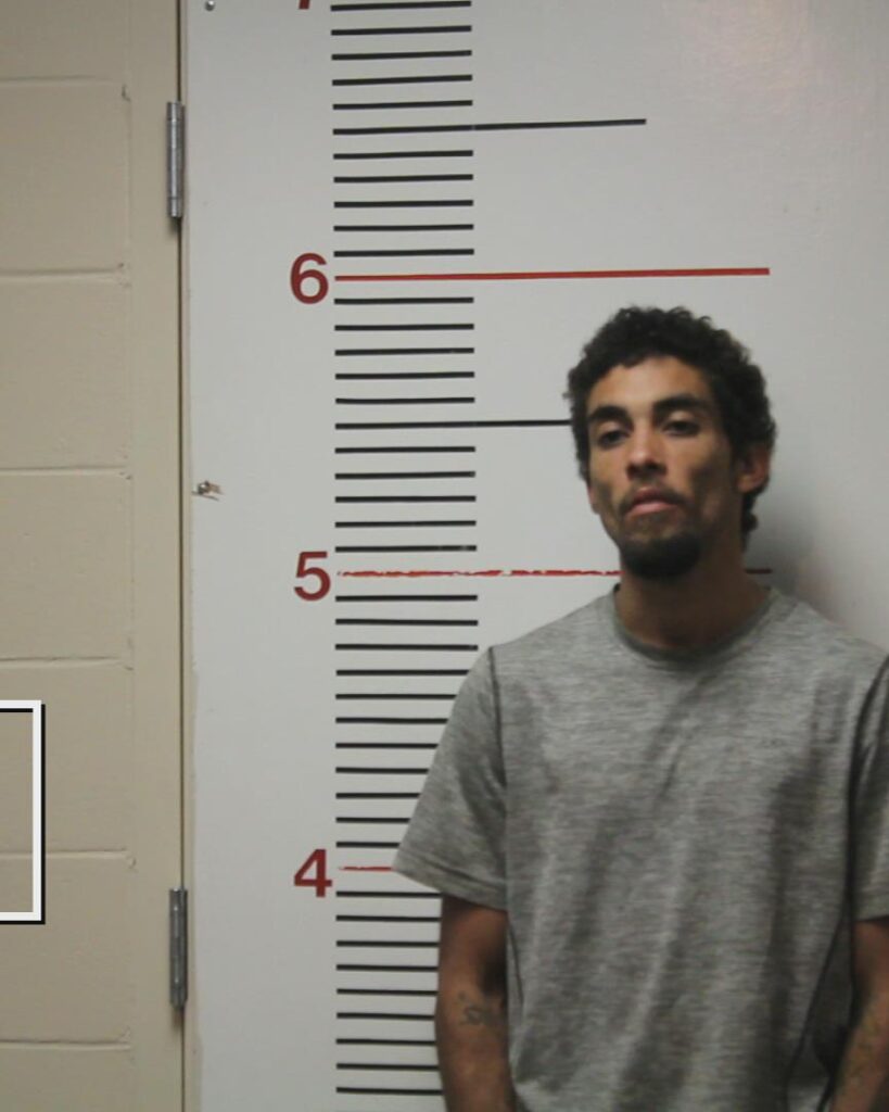 SINGLETON, JUSTIN PARKS booking photo