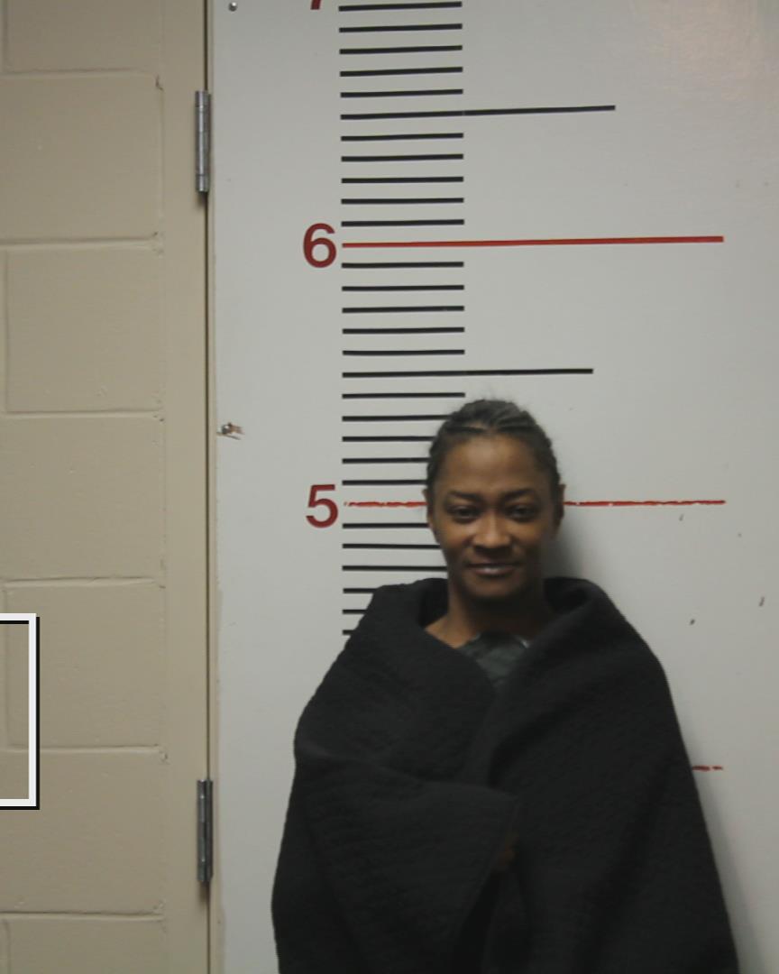 DAVID, SHAWANA NAKAY booking photo