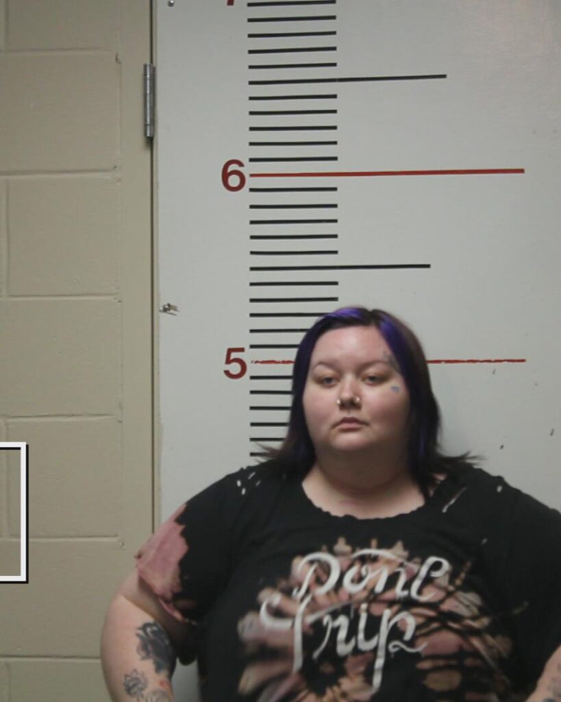 WEISINGER, BRYCELYN NIKOLE booking photo