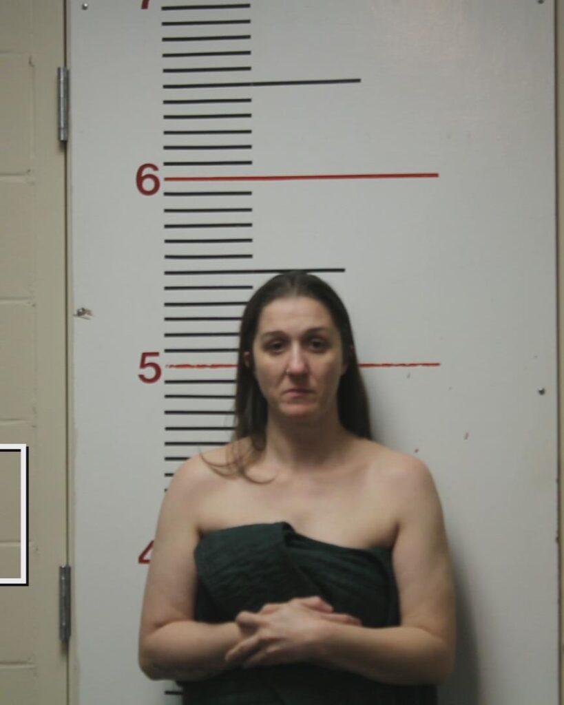 JONES, CHELSEA ELIZABETH booking photo