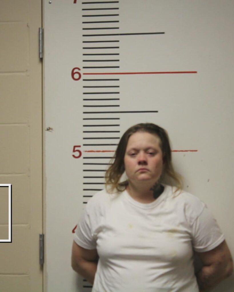 BERRYHILL, CANDACE DEANN arrest record in Anderson County, Texas BERRYHILL, CANDACE DEANN arrested in Anderson County, Texas mugshot