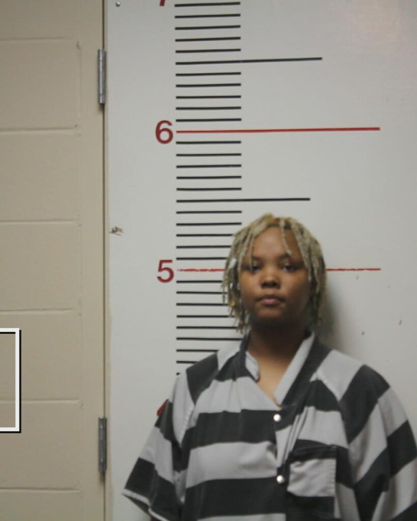 HUTCHISON, KIMBERLY DIANE booking photo