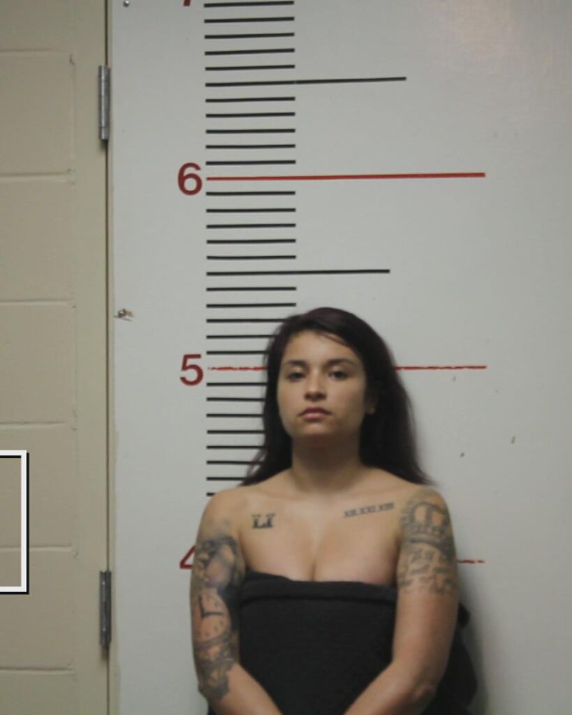 FLEEMAN, LOWRENA booking photo