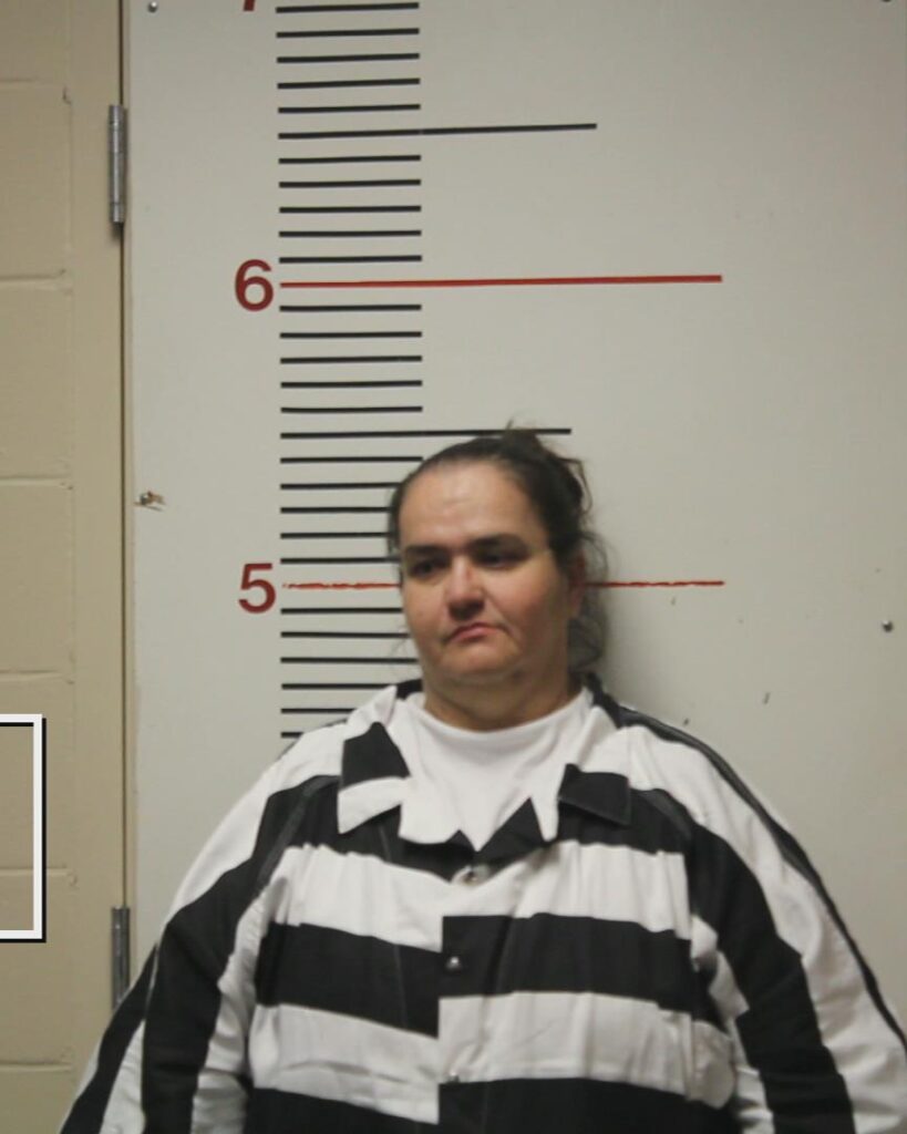 PITTS, CARI SUE booking photo