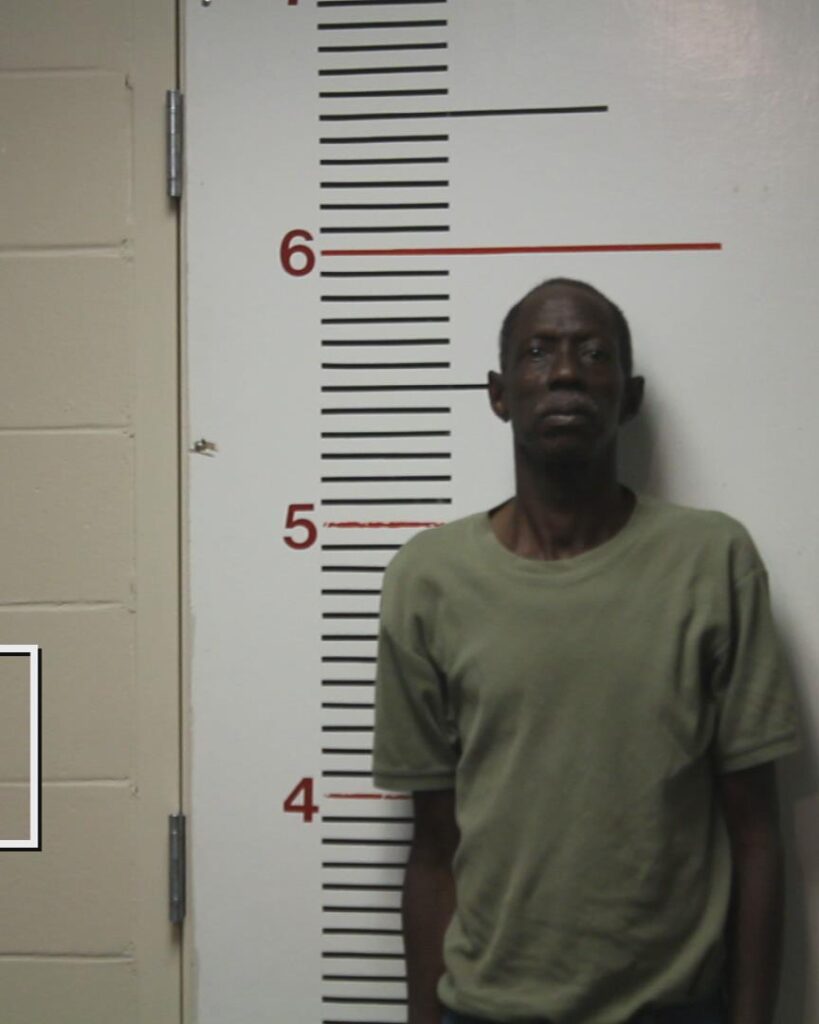 MIMS, ROY LEE booking photo