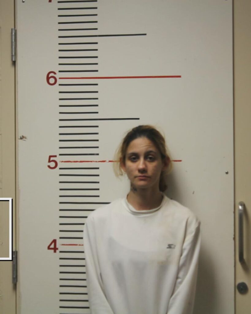 JONES, VALERIE ROSE booking photo