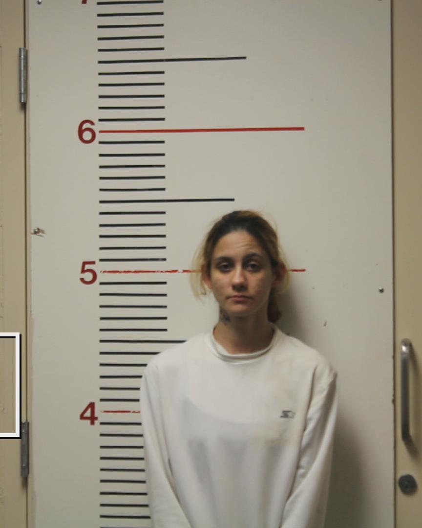 JONES, VALERIE ROSE booking photo