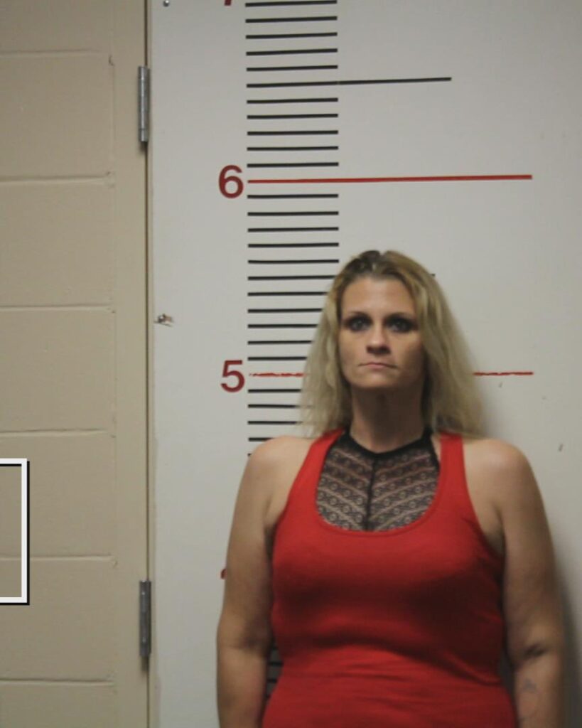 KING, ANITA MAE booking photo