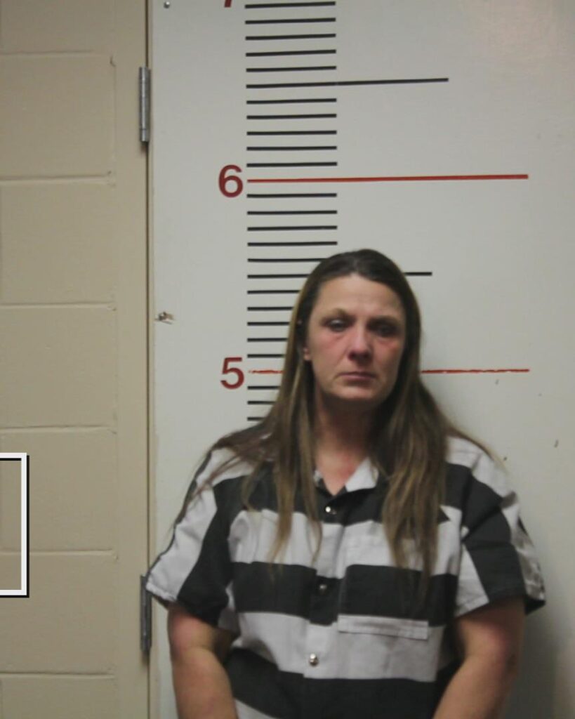 HARRISON, REBECCA LYNN booking photo