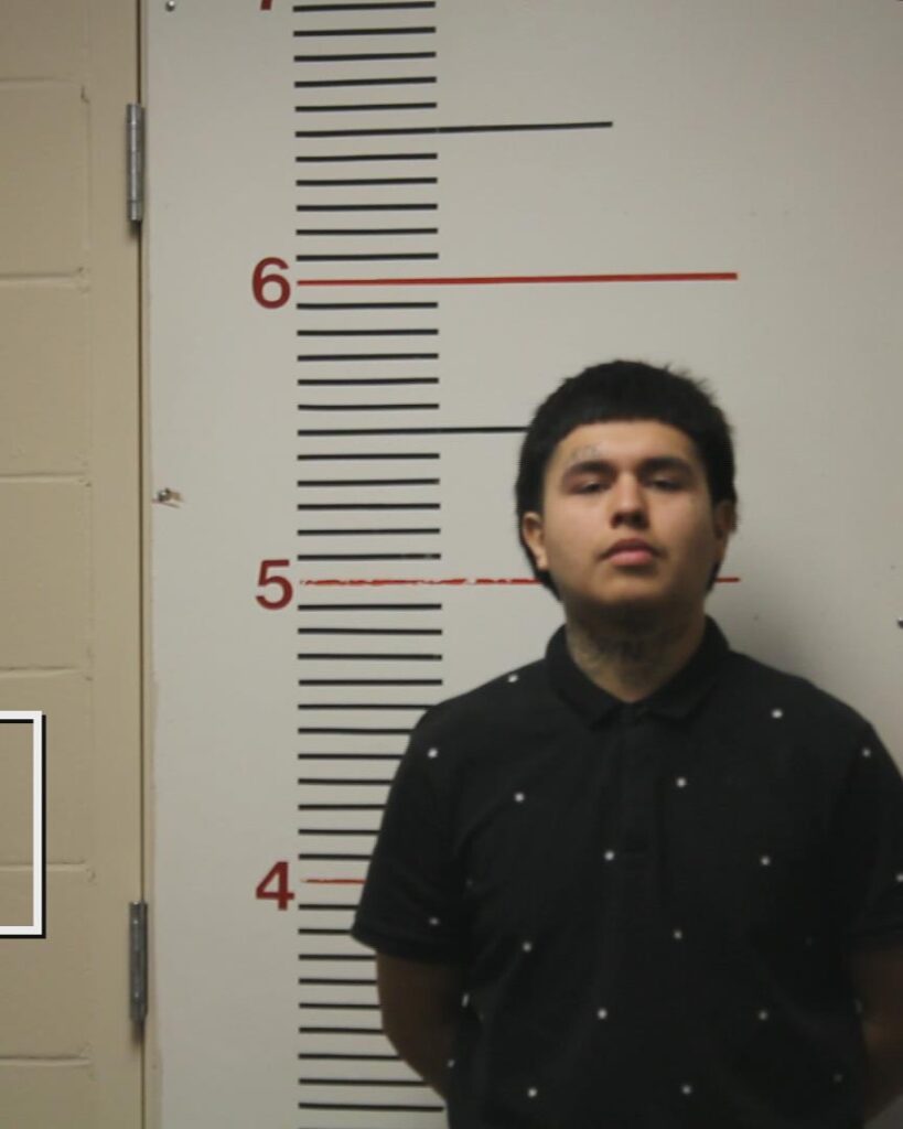 LEANDRO, RICARDO booking photo